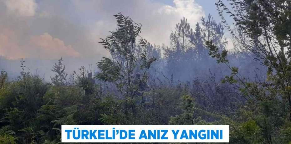 TÜRKELİ’DE ANIZ YANGINI