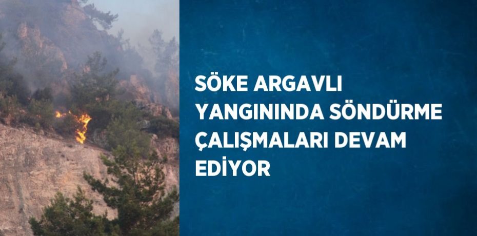 SÖKE ARGAVLI YANGININDA SÖNDÜRME ÇALIŞMALARI DEVAM EDİYOR