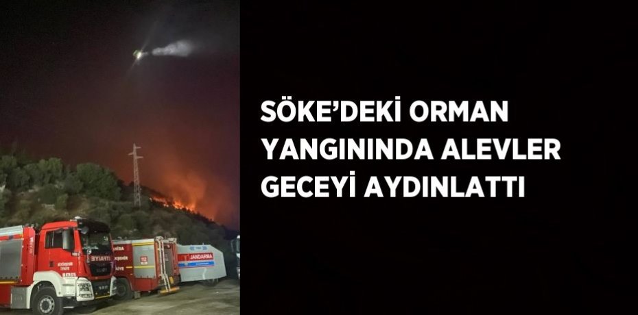 SÖKE’DEKİ ORMAN YANGININDA ALEVLER GECEYİ AYDINLATTI