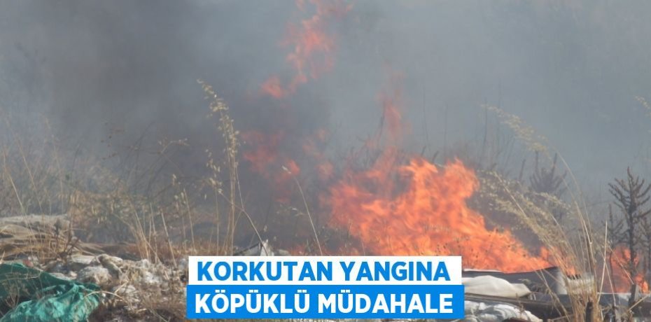 Korkutan yangına köpüklü müdahale
