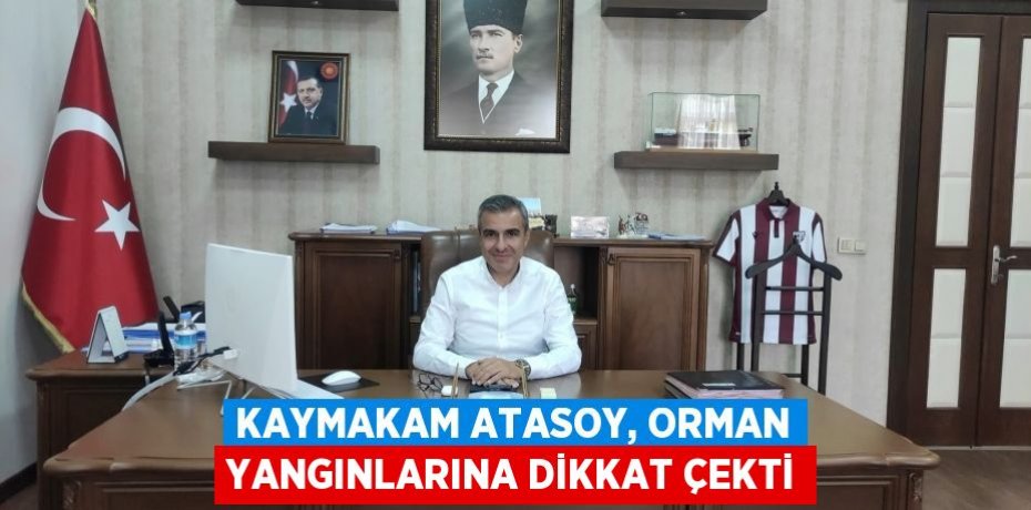 Kaymakam Atasoy, orman yangınlarına dikkat çekti