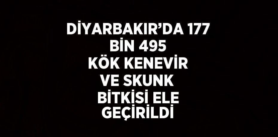 DİYARBAKIR’DA 177 BİN 495 KÖK KENEVİR VE SKUNK BİTKİSİ ELE GEÇİRİLDİ