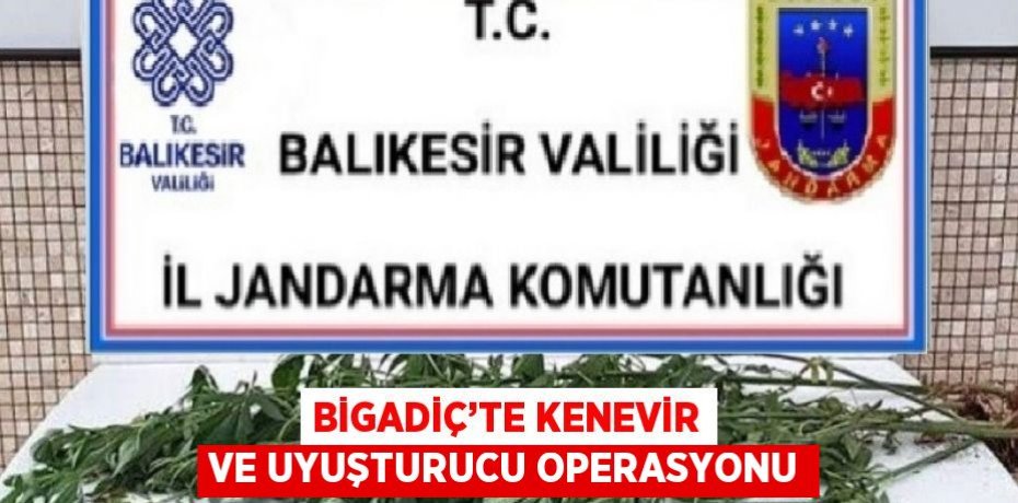 BİGADİÇ’TE KENEVİR VE UYUŞTURUCU OPERASYONU