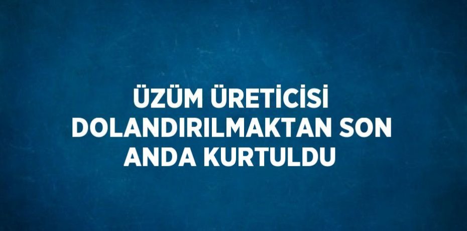 ÜZÜM ÜRETİCİSİ DOLANDIRILMAKTAN SON ANDA KURTULDU