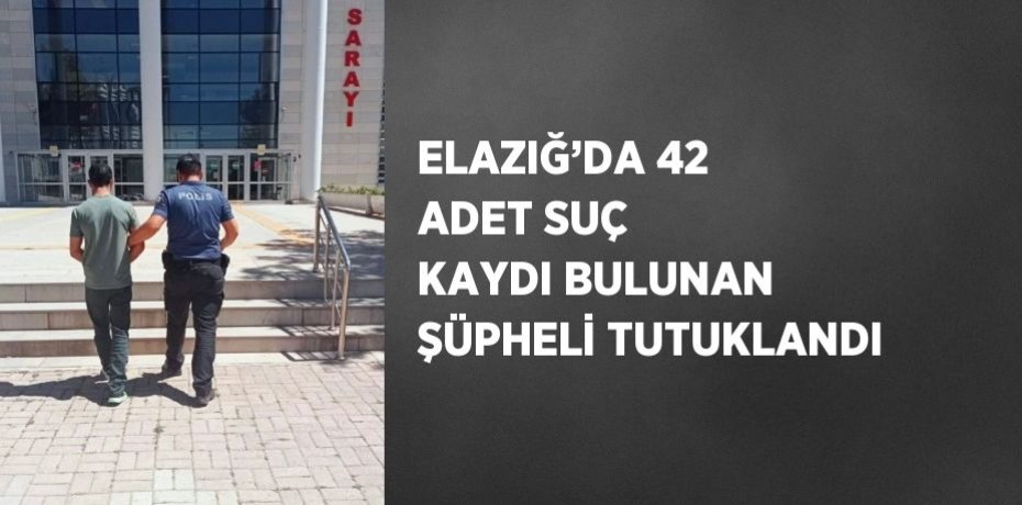 ELAZIĞ’DA 42 ADET SUÇ KAYDI BULUNAN ŞÜPHELİ TUTUKLANDI