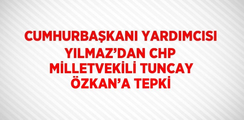 CUMHURBAŞKANI YARDIMCISI YILMAZ’DAN CHP MİLLETVEKİLİ TUNCAY ÖZKAN’A TEPKİ