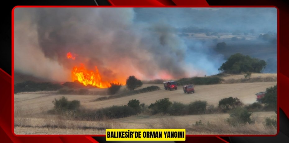 Balıkesir'de orman yangını