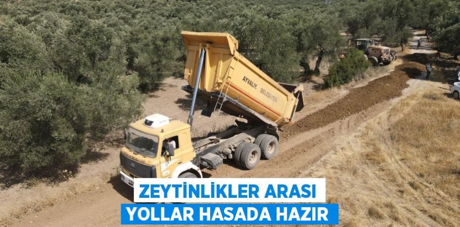 ZEYTİNLİKLER ARASI YOLLAR HASADA HAZIR