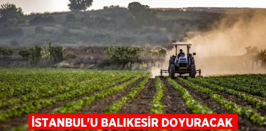 İSTANBUL'U BALIKESİR DOYURACAK
