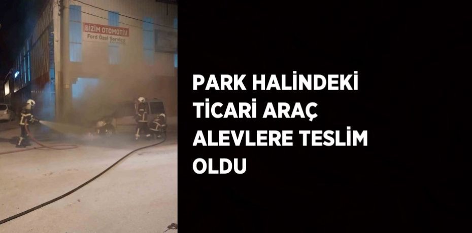 PARK HALİNDEKİ TİCARİ ARAÇ ALEVLERE TESLİM OLDU