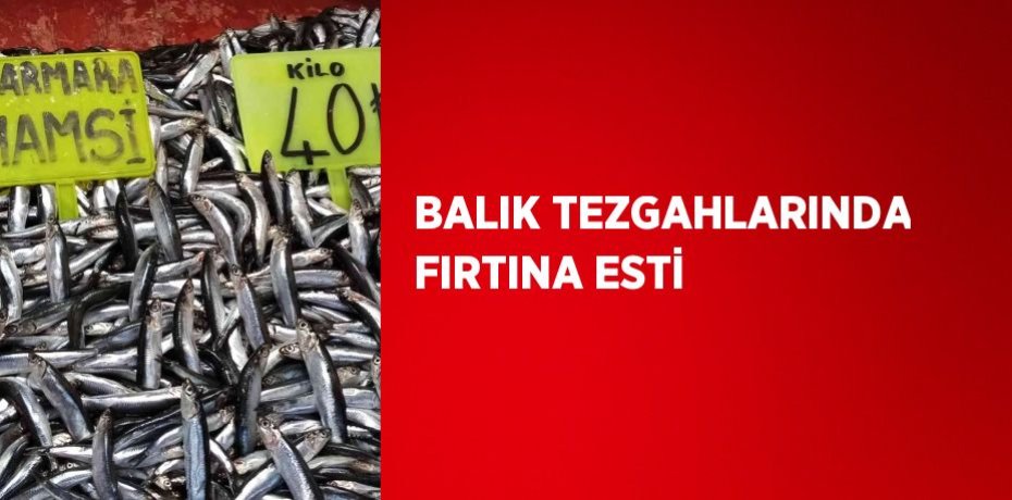 BALIK TEZGAHLARINDA FIRTINA ESTİ