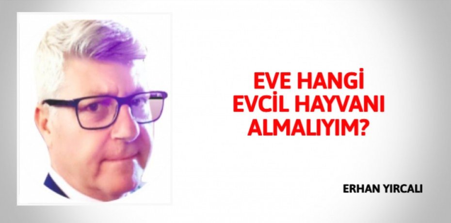 EVE HANGİ EVCİL HAYVANI ALMALIYIM?