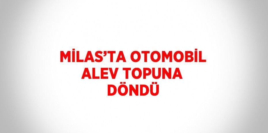 MİLAS’TA OTOMOBİL ALEV TOPUNA DÖNDÜ