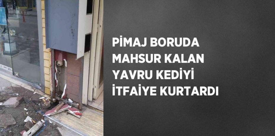 PİMAJ BORUDA MAHSUR KALAN YAVRU KEDİYİ İTFAİYE KURTARDI