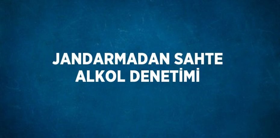 JANDARMADAN SAHTE ALKOL DENETİMİ