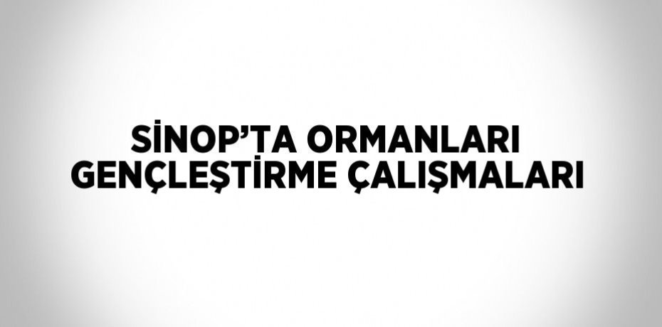 SİNOP’TA ORMANLARI GENÇLEŞTİRME ÇALIŞMALARI