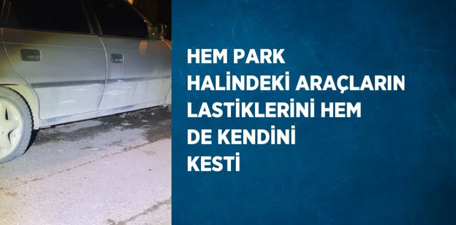 HEM PARK HALİNDEKİ ARAÇLARIN LASTİKLERİNİ HEM DE KENDİNİ KESTİ