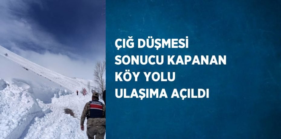 ÇIĞ DÜŞMESİ SONUCU KAPANAN KÖY YOLU ULAŞIMA AÇILDI