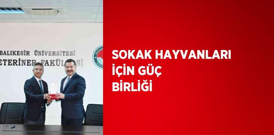 SOKAK HAYVANLARI İÇİN GÜÇ BİRLİĞİ