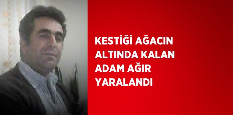 KESTİĞİ AĞACIN ALTINDA KALAN ADAM AĞIR YARALANDI