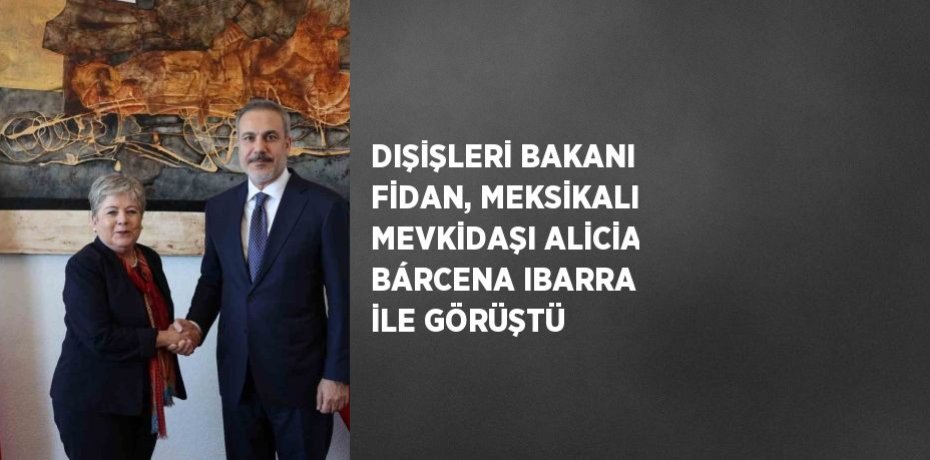 DIŞİŞLERİ BAKANI FİDAN, MEKSİKALI MEVKİDAŞI ALİCİA BÁRCENA IBARRA İLE GÖRÜŞTÜ