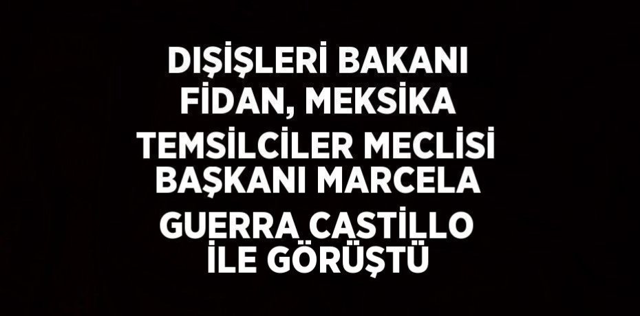 DIŞİŞLERİ BAKANI FİDAN, MEKSİKA TEMSİLCİLER MECLİSİ BAŞKANI MARCELA GUERRA CASTİLLO İLE GÖRÜŞTÜ