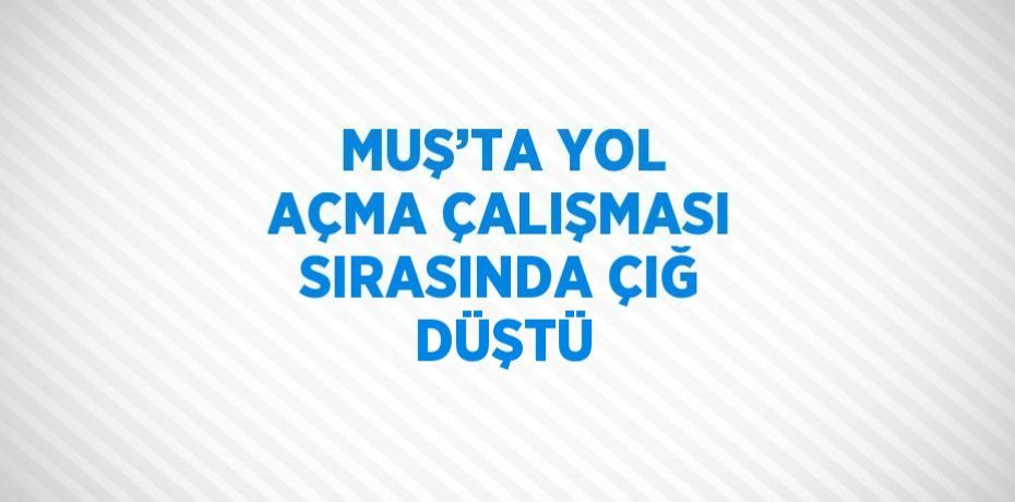 MUŞ’TA YOL AÇMA ÇALIŞMASI SIRASINDA ÇIĞ DÜŞTÜ