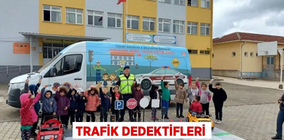 TRAFİK DEDEKTİFLERİ