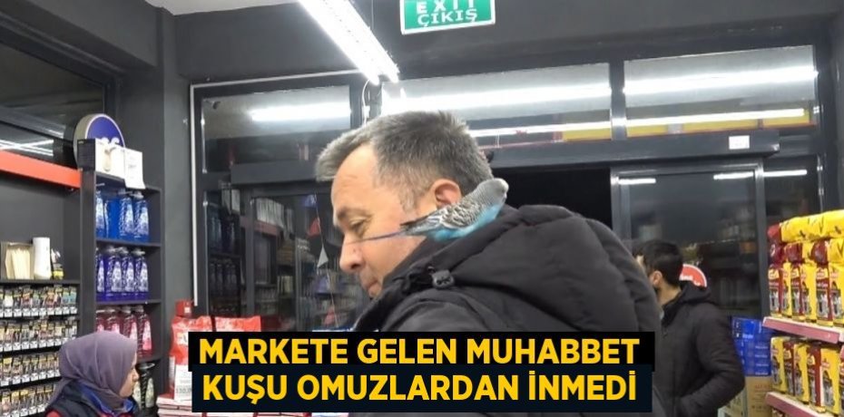 MARKETE GELEN MUHABBET KUŞU OMUZLARDAN İNMEDİ