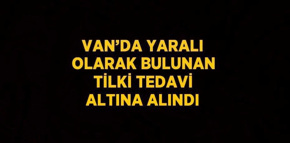VAN’DA YARALI OLARAK BULUNAN TİLKİ TEDAVİ ALTINA ALINDI