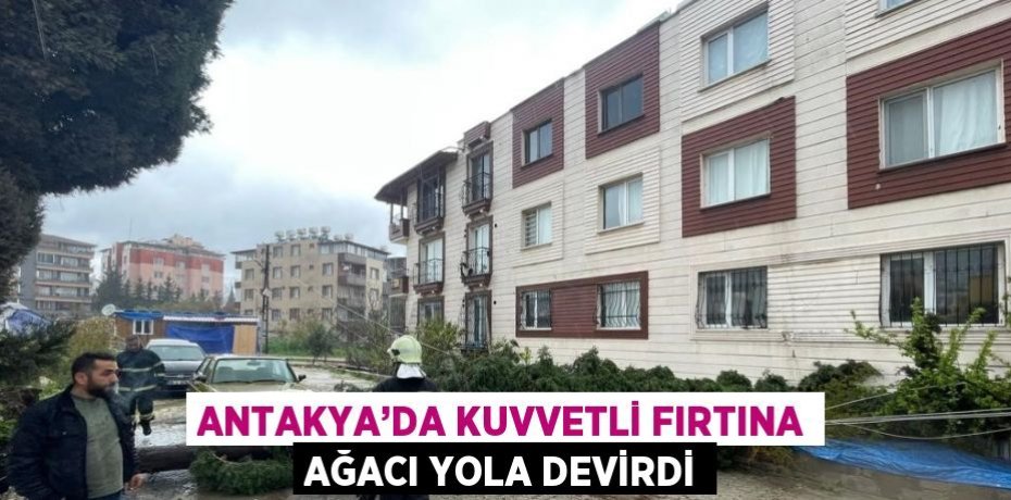 ANTAKYA’DA KUVVETLİ FIRTINA AĞACI YOLA DEVİRDİ