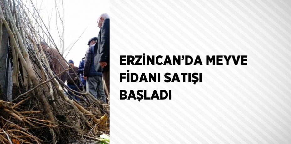 ERZİNCAN’DA MEYVE FİDANI SATIŞI BAŞLADI