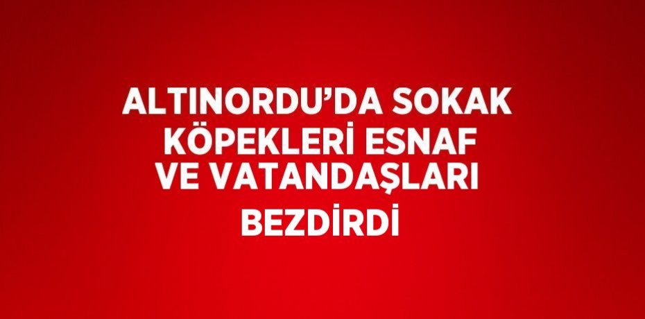 ALTINORDU’DA SOKAK KÖPEKLERİ ESNAF VE VATANDAŞLARI BEZDİRDİ