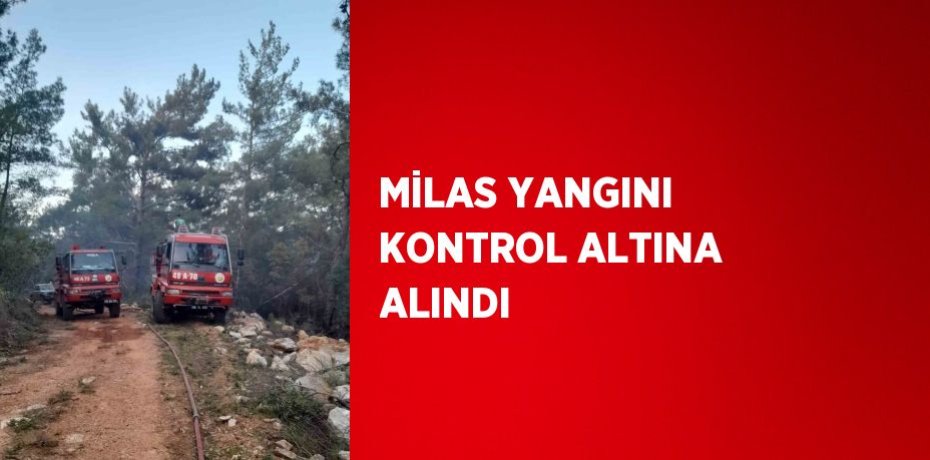MİLAS YANGINI KONTROL ALTINA ALINDI