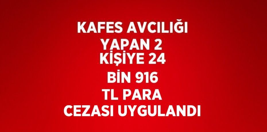 KAFES AVCILIĞI YAPAN 2 KİŞİYE 24 BİN 916 TL PARA CEZASI UYGULANDI