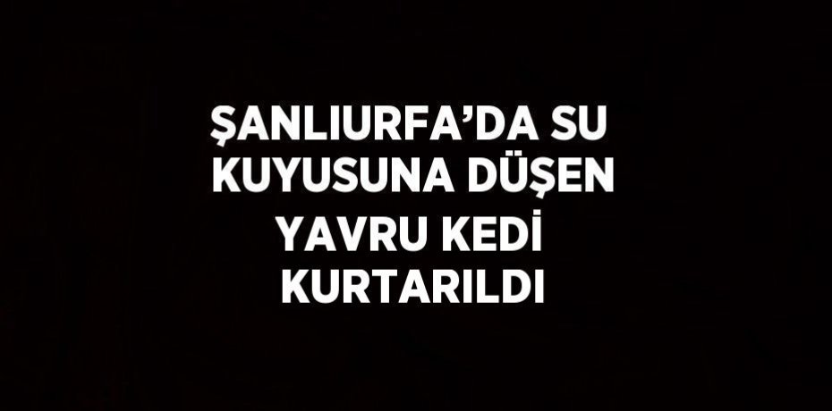 ŞANLIURFA’DA SU KUYUSUNA DÜŞEN YAVRU KEDİ KURTARILDI