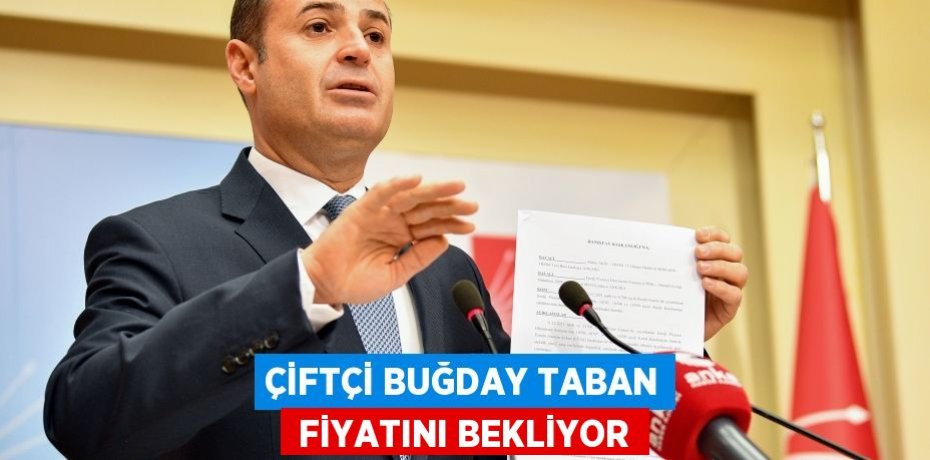 ÇİFTÇİ BUĞDAY TABAN  FİYATINI BEKLİYOR