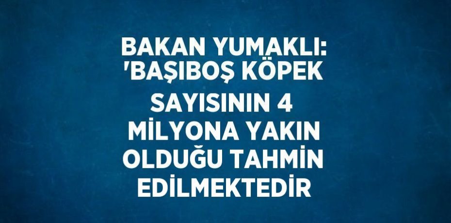 BAKAN YUMAKLI: 'BAŞIBOŞ KÖPEK SAYISININ 4 MİLYONA YAKIN OLDUĞU TAHMİN EDİLMEKTEDİR