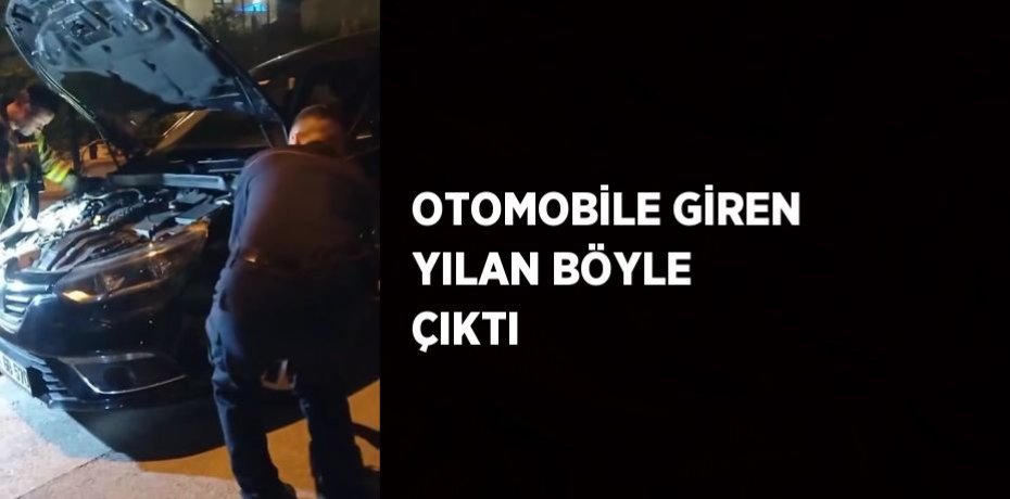 OTOMOBİLE GİREN YILAN BÖYLE ÇIKTI