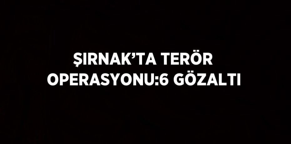 ŞIRNAK’TA TERÖR OPERASYONU:6 GÖZALTI