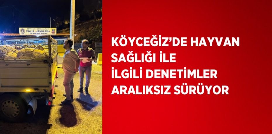 KÖYCEĞİZ’DE HAYVAN SAĞLIĞI İLE İLGİLİ DENETİMLER ARALIKSIZ SÜRÜYOR