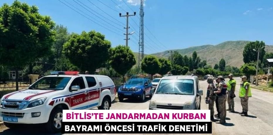 BİTLİS’TE JANDARMADAN KURBAN BAYRAMI ÖNCESİ TRAFİK DENETİMİ