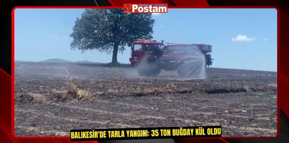 Balıkesir'de tarla yangını: 35 ton buğday kül oldu