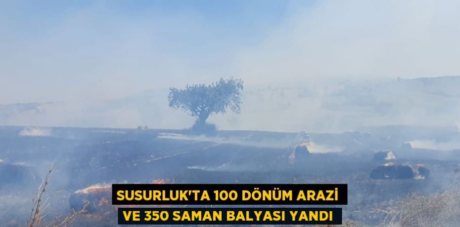 SUSURLUK’TA 100 DÖNÜM ARAZİ VE 350 SAMAN BALYASI YANDI