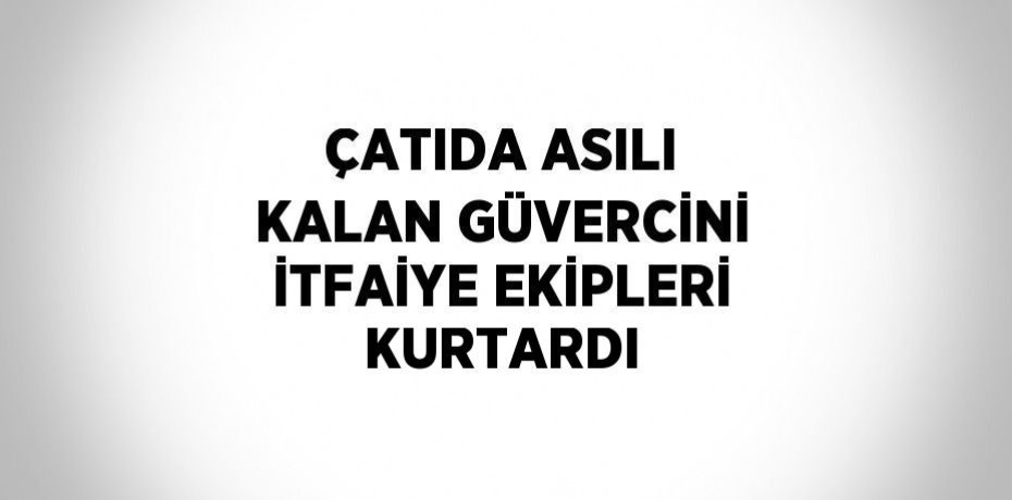 ÇATIDA ASILI KALAN GÜVERCİNİ İTFAİYE EKİPLERİ KURTARDI