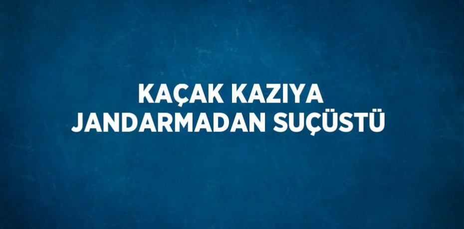 KAÇAK KAZIYA JANDARMADAN SUÇÜSTÜ