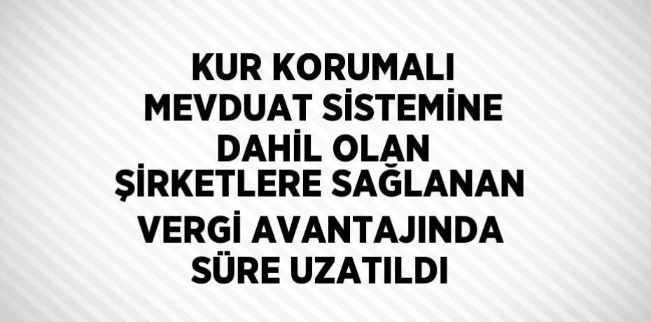 KUR KORUMALI MEVDUAT SİSTEMİNE DAHİL OLAN ŞİRKETLERE SAĞLANAN VERGİ AVANTAJINDA SÜRE UZATILDI