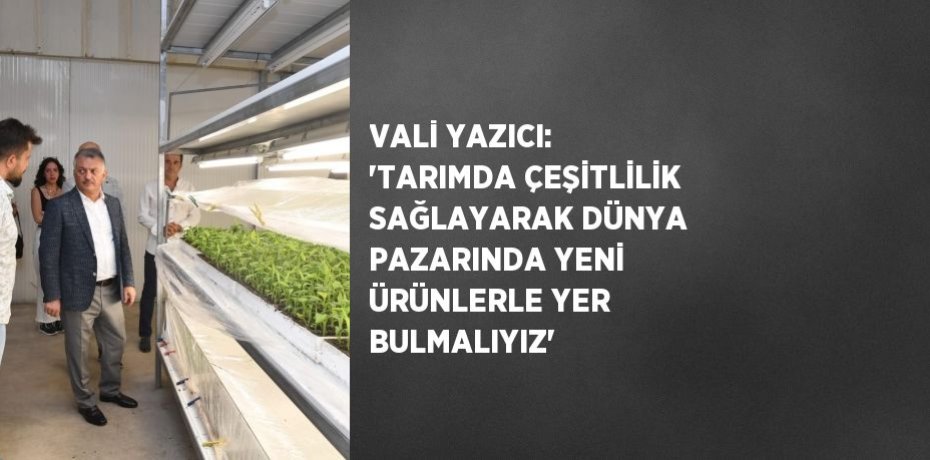 VALİ YAZICI: 'TARIMDA ÇEŞİTLİLİK SAĞLAYARAK DÜNYA PAZARINDA YENİ ÜRÜNLERLE YER BULMALIYIZ'