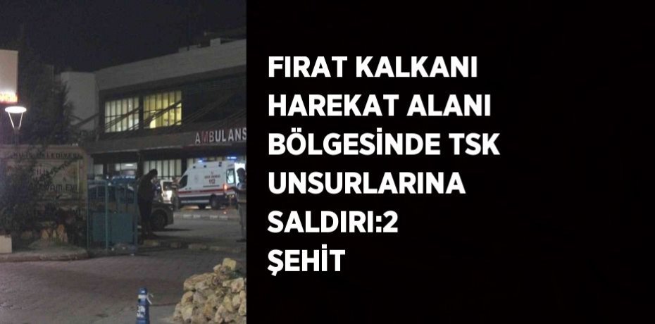 FIRAT KALKANI HAREKAT ALANI BÖLGESİNDE TSK UNSURLARINA SALDIRI:2 ŞEHİT