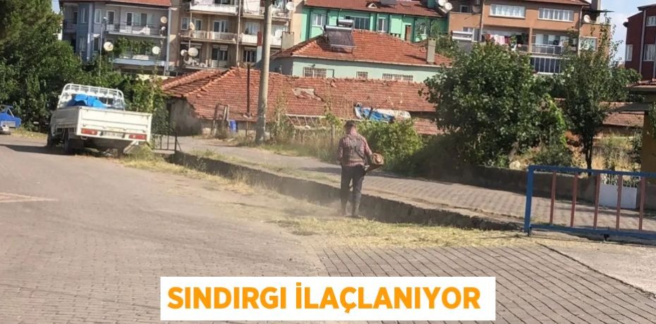 SINDIRGI İLAÇLANIYOR
